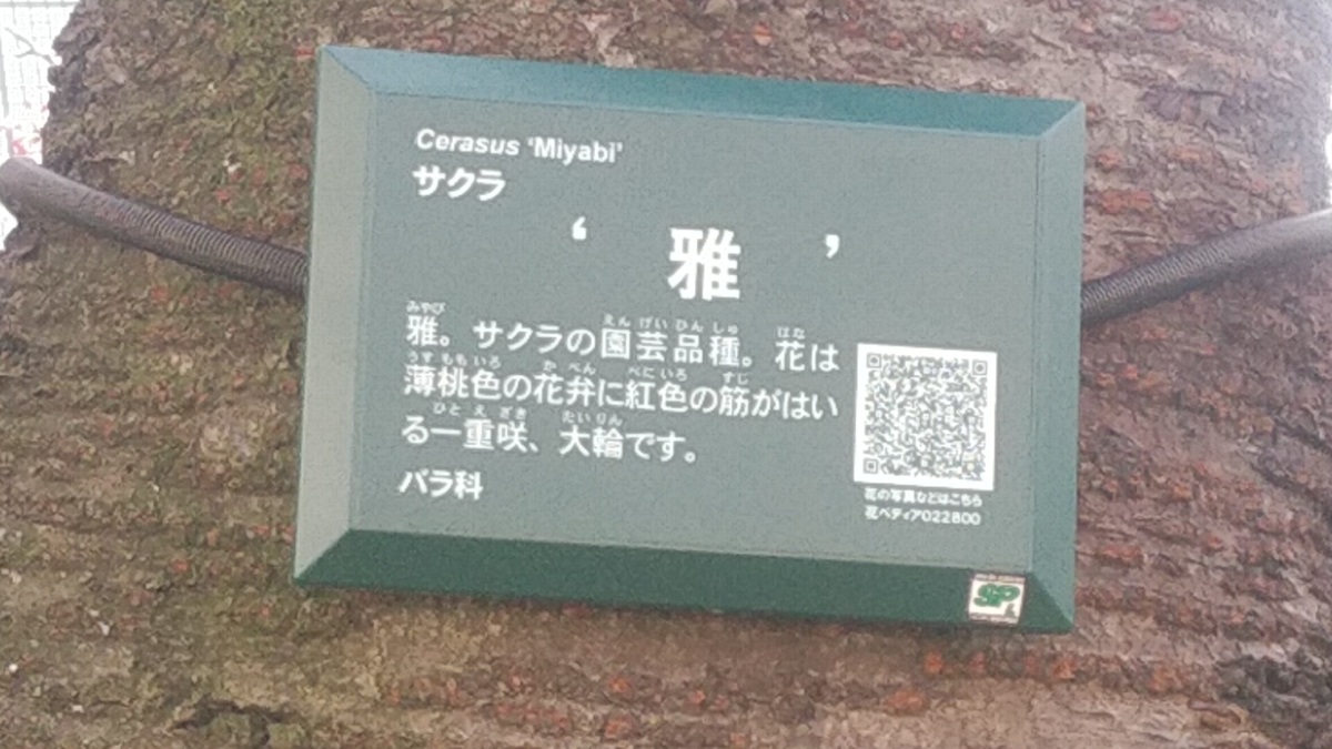 f:id:Lunakko:20220317134334j:plain