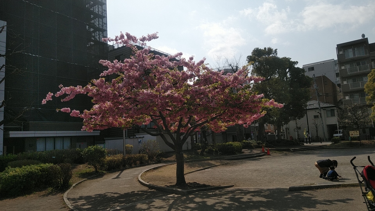 f:id:Lunakko:20220317134542j:plain