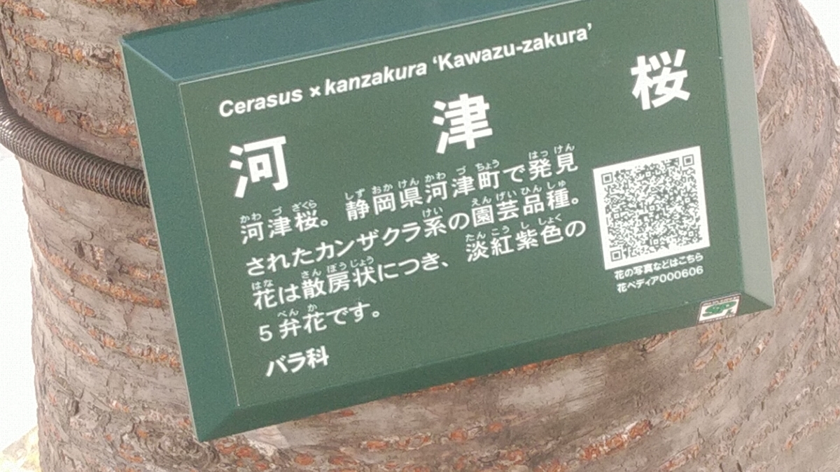f:id:Lunakko:20220317134632j:plain
