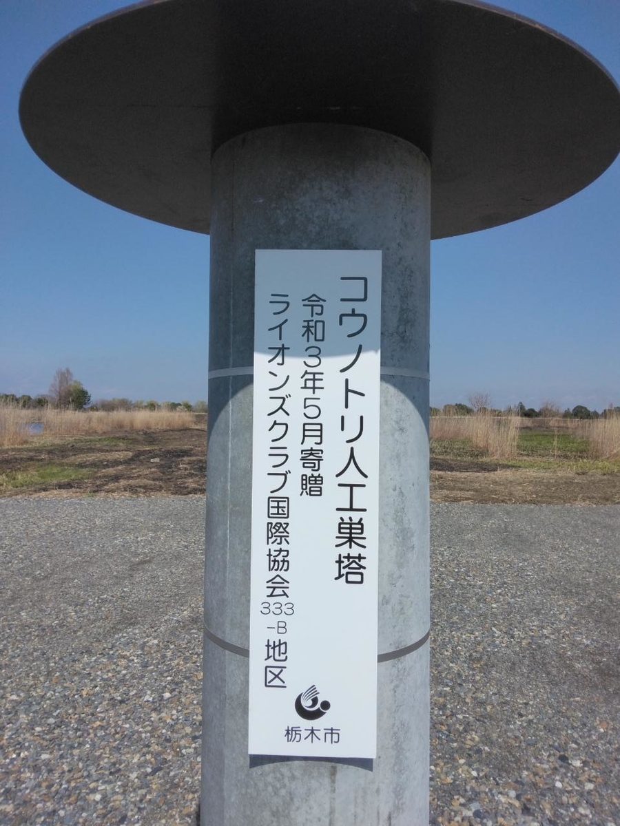 f:id:Lunakko:20220324160718j:plain