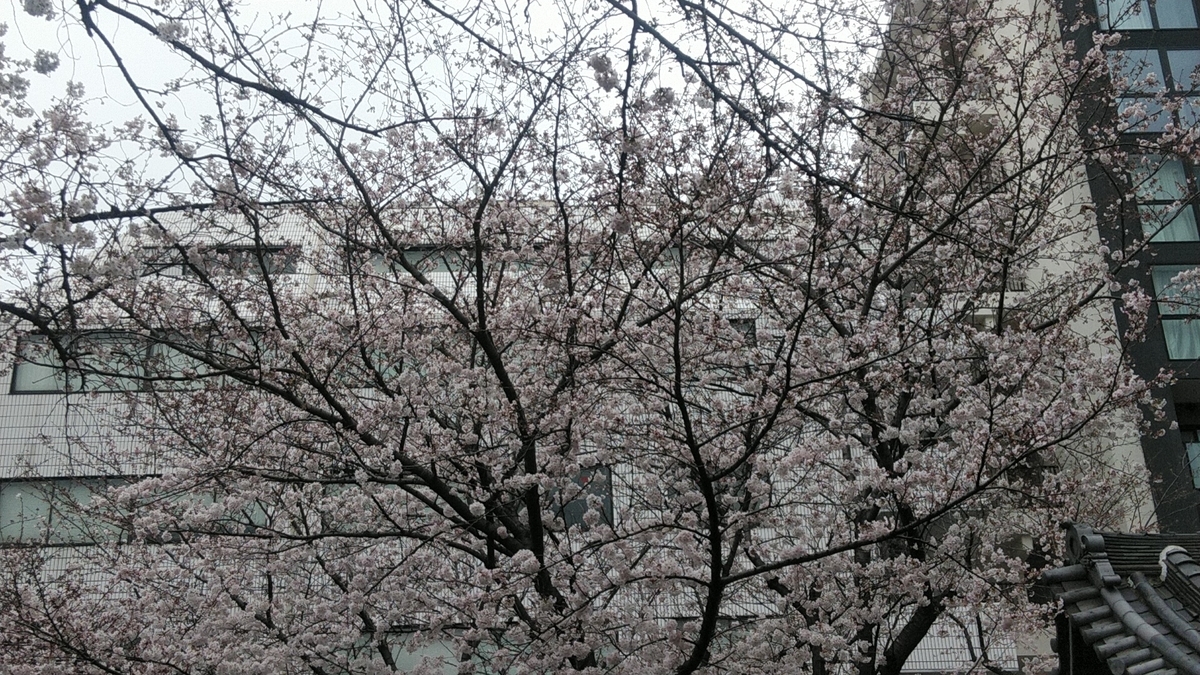 f:id:Lunakko:20220327132750j:plain