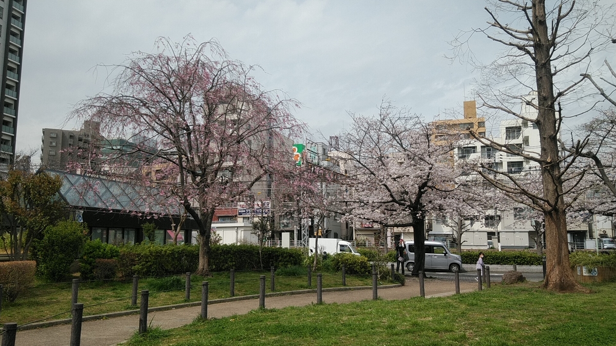 f:id:Lunakko:20220331125132j:plain