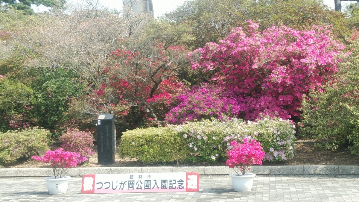 f:id:Lunakko:20220413093420j:plain