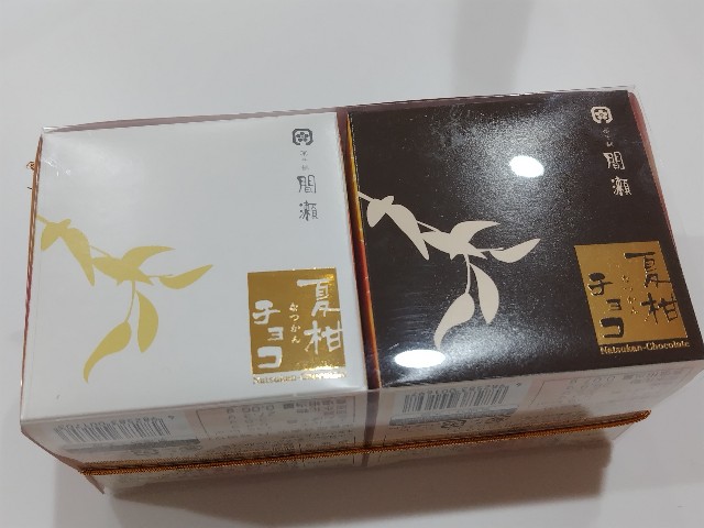 f:id:Lunakko:20230201175752j:image