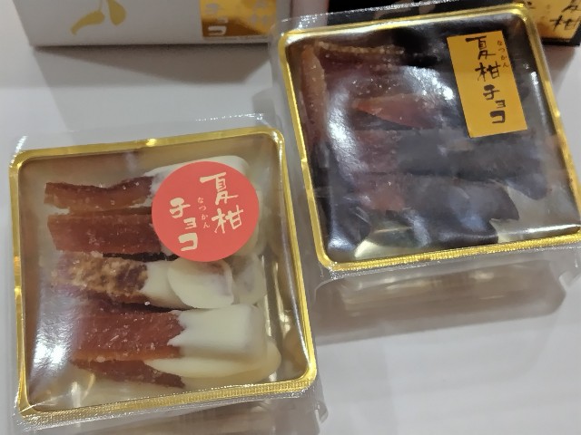 f:id:Lunakko:20230201180142j:image