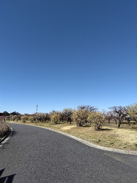 f:id:Lunakko:20230216115121j:image f:id:Lunakko:20230216115121j:image