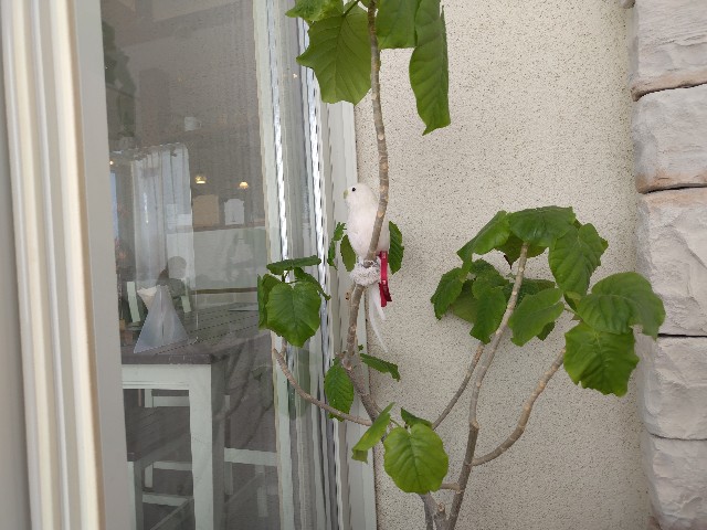 f:id:Lunakko:20230218113419j:image