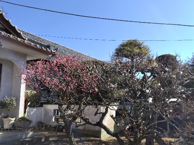 f:id:Lunakko:20230226100731j:image f:id:Lunakko:20230226100731j:image