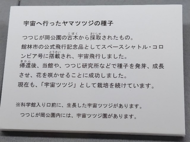 f:id:Lunakko:20230301155729j:image