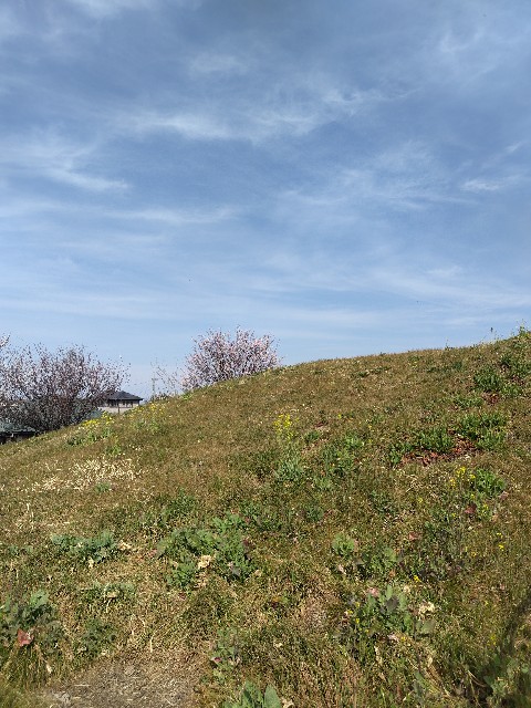 f:id:Lunakko:20230305102913j:image