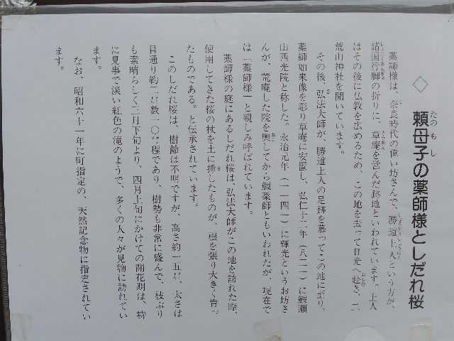 f:id:Lunakko:20230322145523j:image