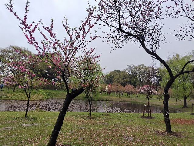 f:id:Lunakko:20230325102136j:image