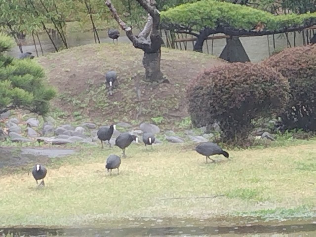 f:id:Lunakko:20230325105954j:image