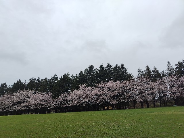 f:id:Lunakko:20230325111412j:image