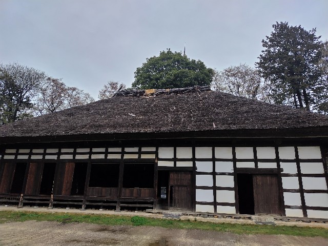 f:id:Lunakko:20230325112007j:image