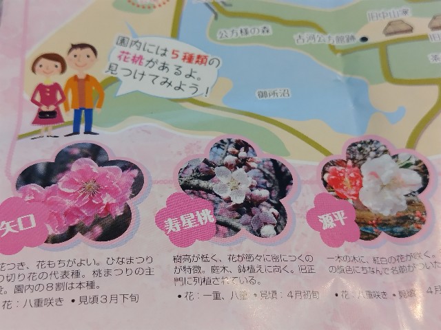 f:id:Lunakko:20230325150405j:image