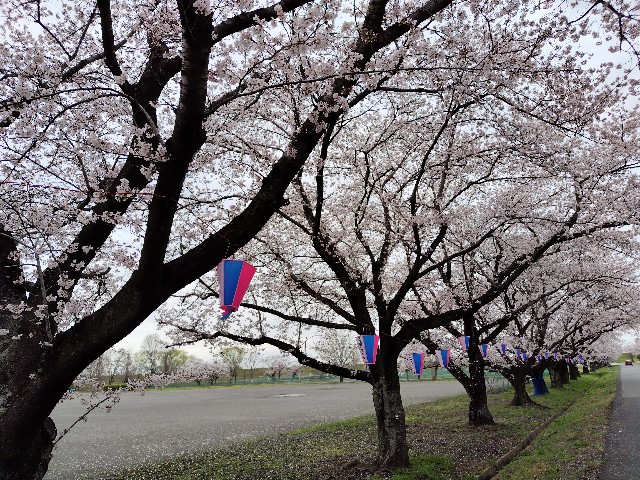 f:id:Lunakko:20230327162423j:image