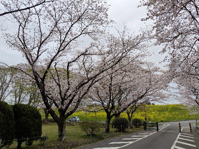 f:id:Lunakko:20230327162547j:image
