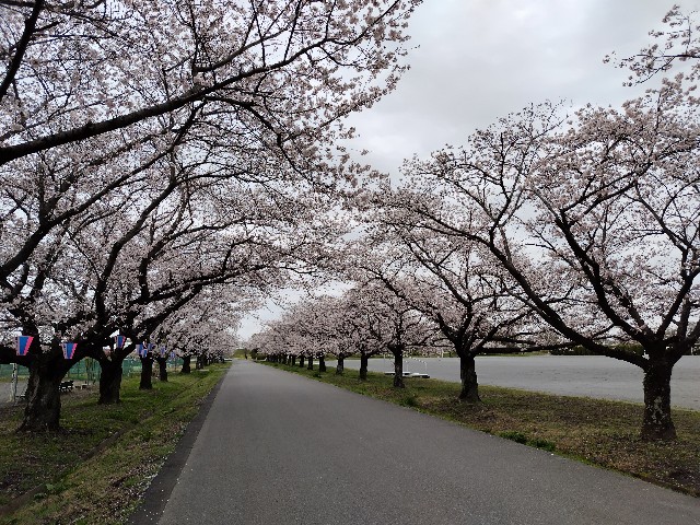 f:id:Lunakko:20230327162643j:image