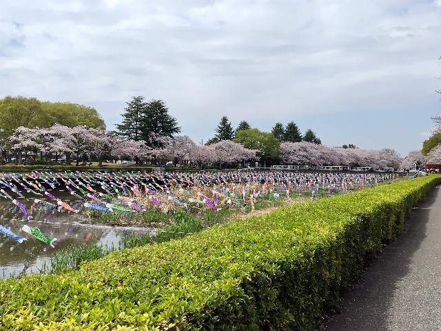f:id:Lunakko:20230328121457j:image