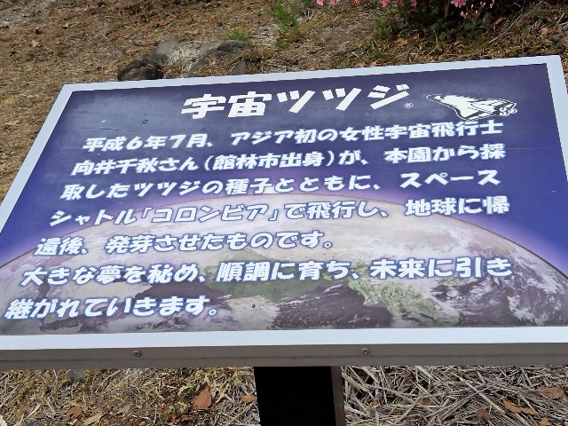 f:id:Lunakko:20230402152759j:image f:id:Lunakko:20230402152759j:image