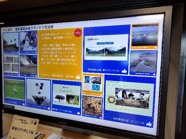 f:id:Lunakko:20230405102240j:image