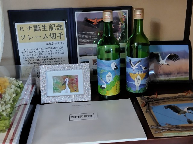 f:id:Lunakko:20230405103216j:image