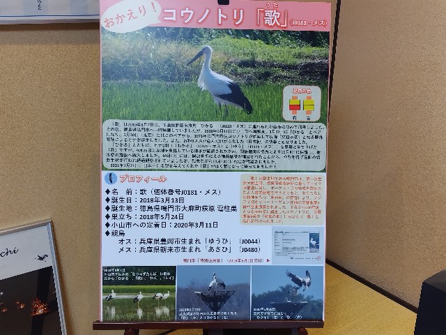 f:id:Lunakko:20230405103503j:image