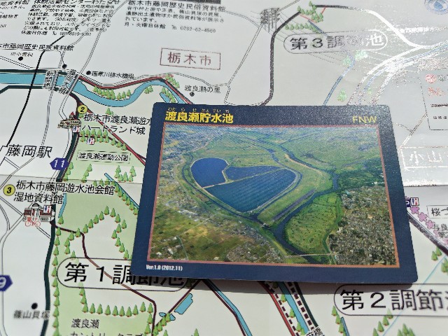 f:id:Lunakko:20230405113226j:image