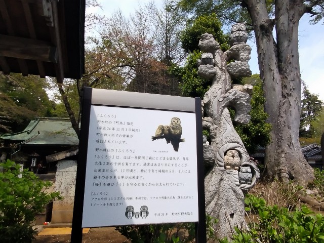 f:id:Lunakko:20230405114315j:image