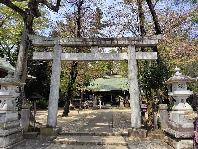 f:id:Lunakko:20230405114432j:image