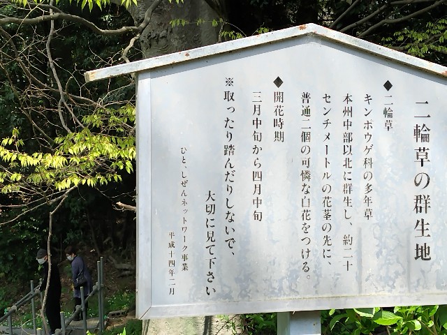 f:id:Lunakko:20230405114546j:image