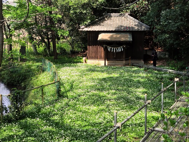 f:id:Lunakko:20230405114623j:image