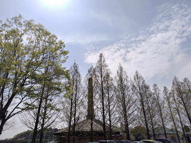 f:id:Lunakko:20230405121230j:image