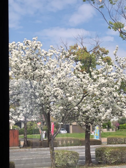 f:id:Lunakko:20230406123545j:image f:id:Lunakko:20230406123545j:image