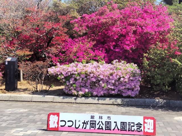 f:id:Lunakko:20230409094823j:image