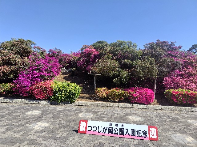 f:id:Lunakko:20230409094853j:image