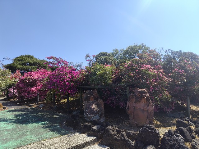 f:id:Lunakko:20230409095041j:image