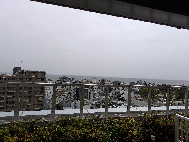 f:id:Lunakko:20230414114401j:image f:id:Lunakko:20230414114401j:image