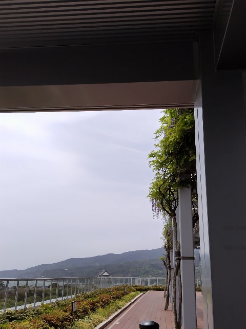 f:id:Lunakko:20230414114544j:image f:id:Lunakko:20230414114544j:image