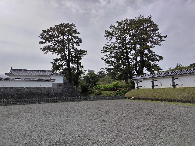 f:id:Lunakko:20230414145329j:image f:id:Lunakko:20230414145329j:image