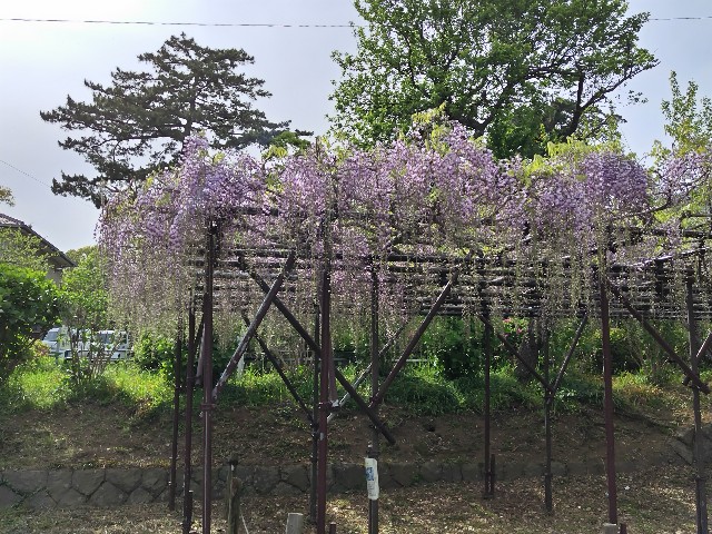 f:id:Lunakko:20230414145817j:image f:id:Lunakko:20230414145817j:image