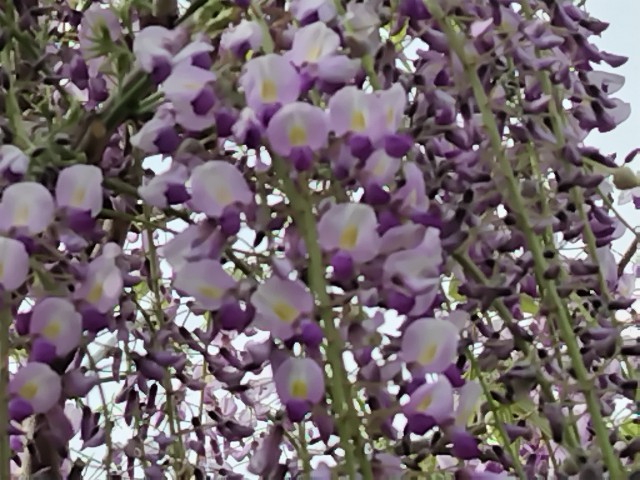 f:id:Lunakko:20230414145911j:image f:id:Lunakko:20230414145911j:image