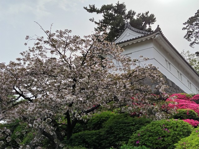f:id:Lunakko:20230414150301j:image f:id:Lunakko:20230414150301j:image