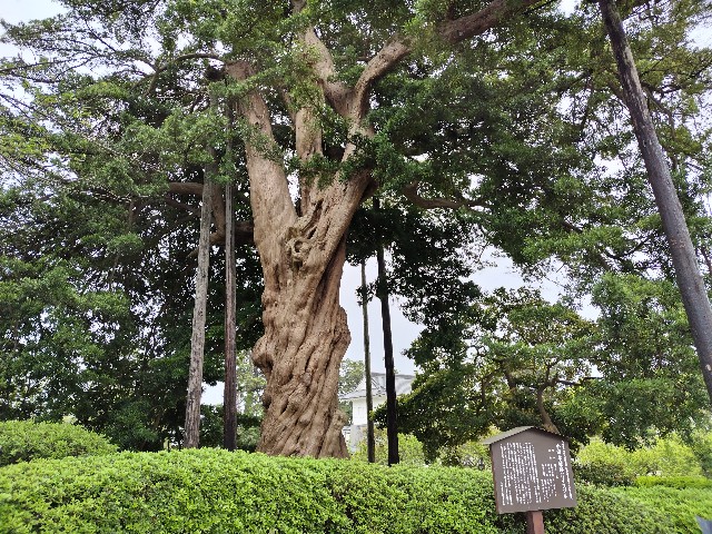 f:id:Lunakko:20230414163455j:image f:id:Lunakko:20230414163455j:image