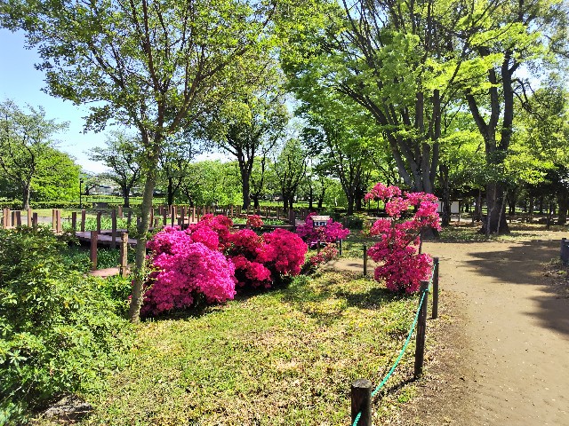 f:id:Lunakko:20230417133748j:image f:id:Lunakko:20230417133748j:image