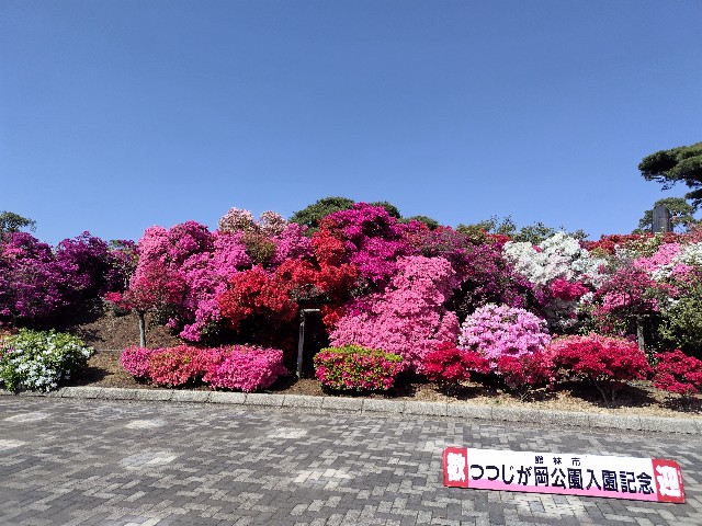 f:id:Lunakko:20230417140036j:image f:id:Lunakko:20230417140036j:image