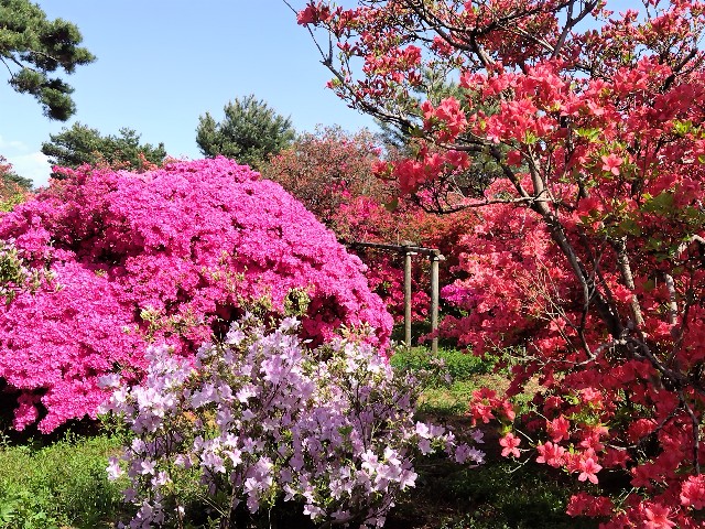 f:id:Lunakko:20230417140513j:image f:id:Lunakko:20230417140513j:image