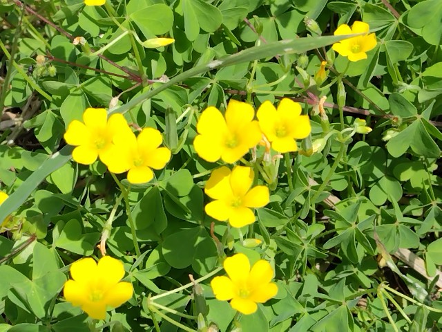 f:id:Lunakko:20230420104530j:image f:id:Lunakko:20230420104530j:image