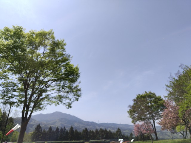 f:id:Lunakko:20230421124256j:image